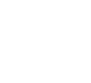 Institut für FASD